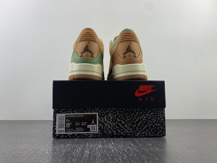 air jordan 3 “green brown” ct8532-103